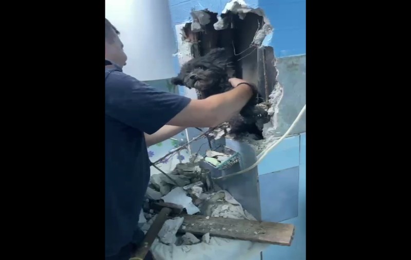 Pompierii din Hunedoara au salvat un cățel căzut într-o capcană din baia familiei. S-a strecurat în gura de vizitare de sub chiuvetă VIDEO