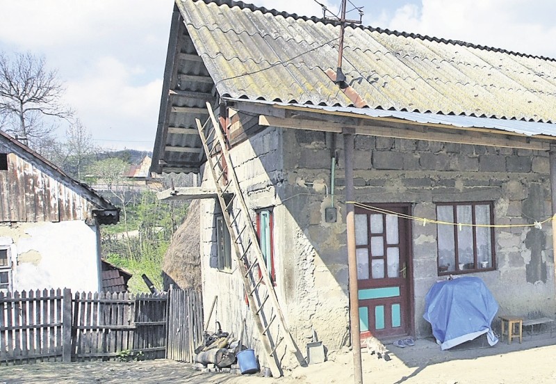 Arhiva foto