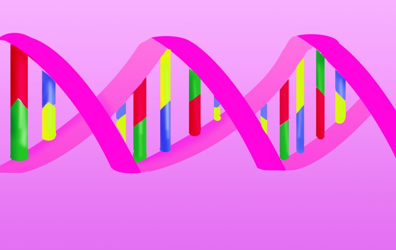 O fetiţă din America are TREI PĂRINŢI BIOLOGICI! Cum a fost POSIBILĂ UNA CA ASTA?