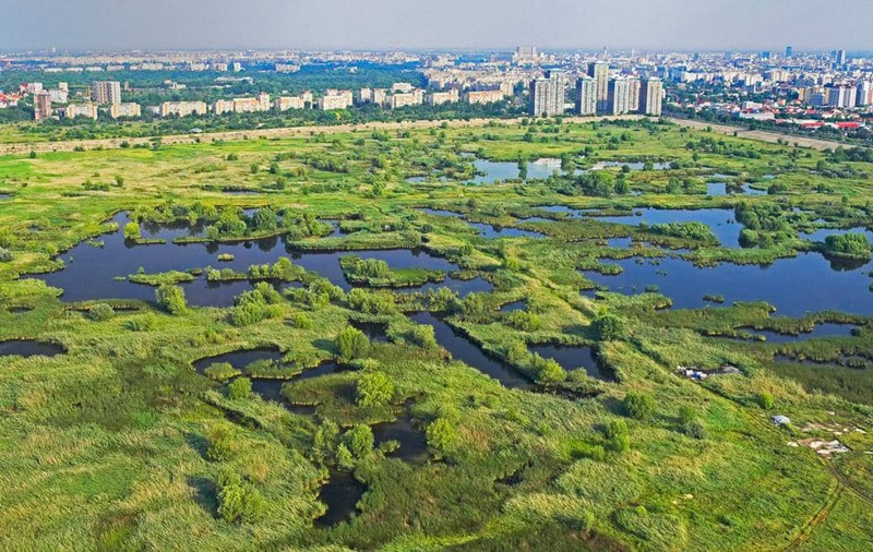 Parcul Văcărești a intrat în administrarea Primăriei Capitalei. Anunțul, făcut de Nicușor Dan