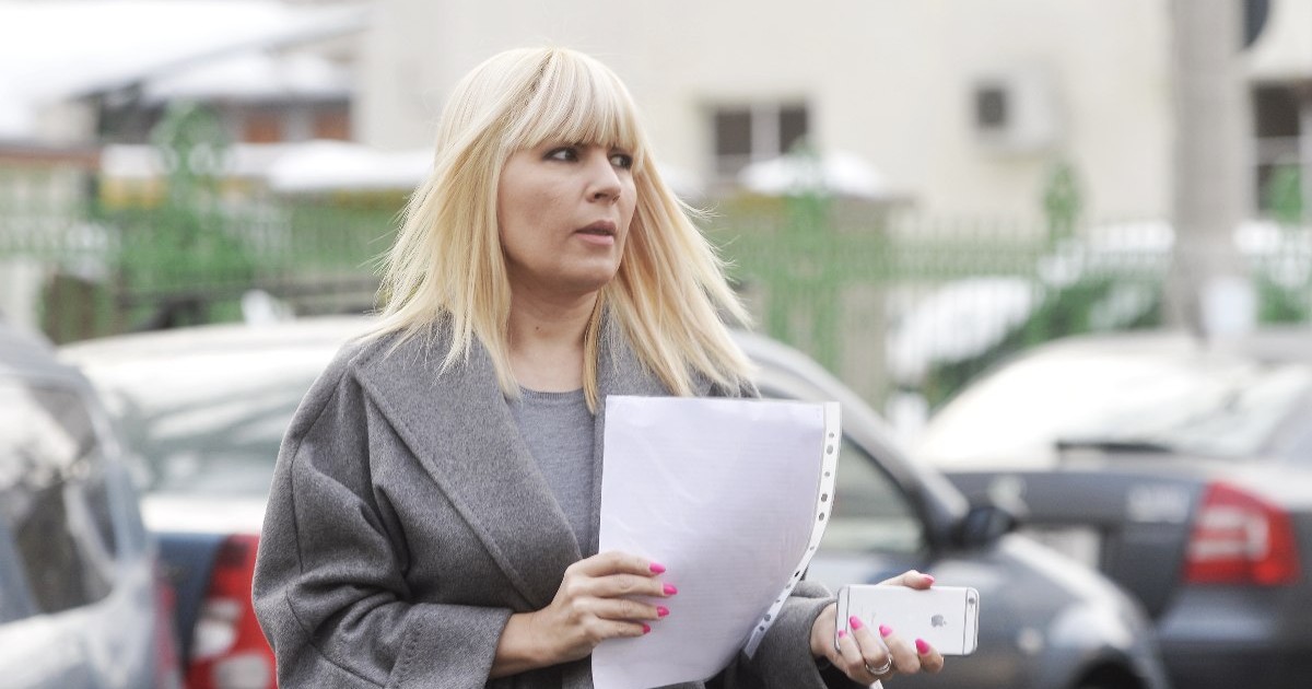 Elena Udrea la sediul Inaltei Curti de Casatie si Justitie, in Bucuresti, marti, 31 ianuarie 2017