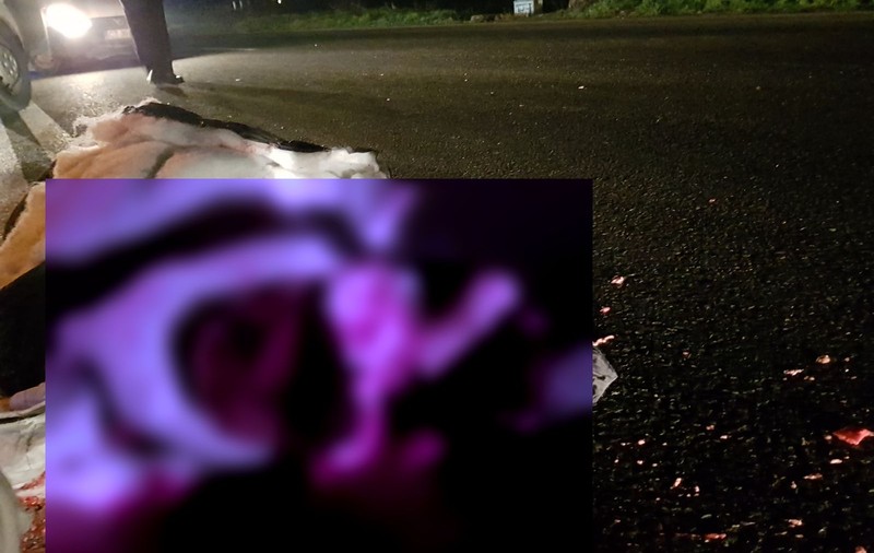 Constanța: Două femei, spulberate de o mașină. Se duceau la biserică și au traversat prin loc nepermis/FOTO