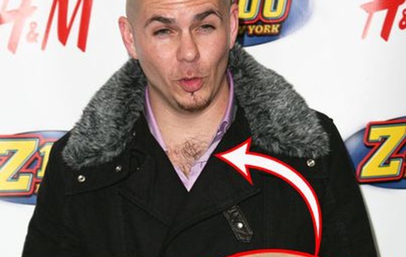 Pitbull, te mai epilezi şi tu pe piept? | FOTO