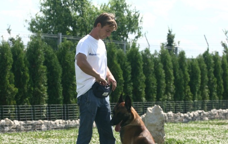Concurs canin în Parcul Tei din Capitală