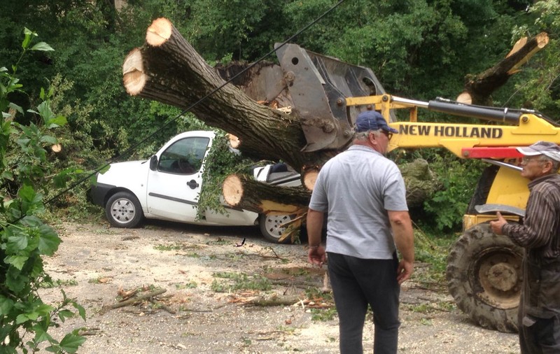 Doi copii și bunicii lor au fost răniţi după ce un copac s-a prăbuşit peste casa şi maşina  lor, în judeţul Braşov/ FOTO