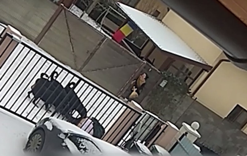 Femeie atacată de patru câini Rottweiler, în Suceava, internată în stare gravă la spital