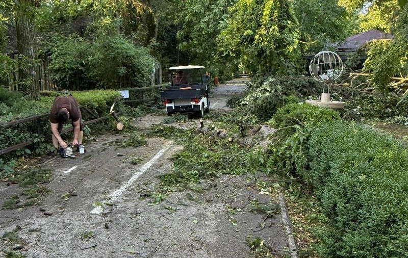 Ploi torențiale, vijelii și grindină în 15 județe din țară. Harta zonelor aflate sub cod galben. Cum va fi vremea în București
