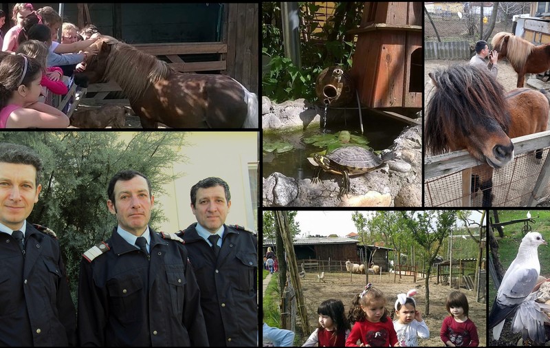 Trei frați pompieri și grădina lor zoologică! Au transformat curtea casei părintești într-un adăpost pentru animale