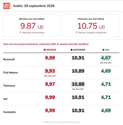 Infografic realizat cu ajutorul Inteligenței Artificiale