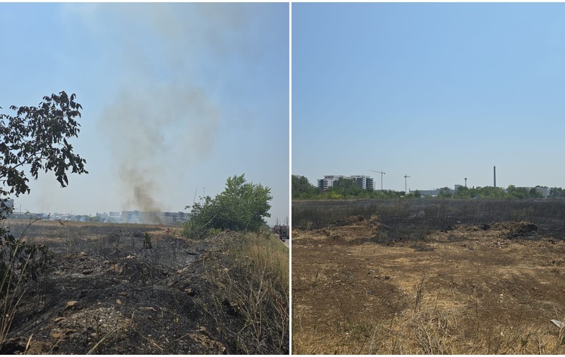 Incendiu în Chiajna. Au ars aproximativ 50.000 mp de vegetație uscată