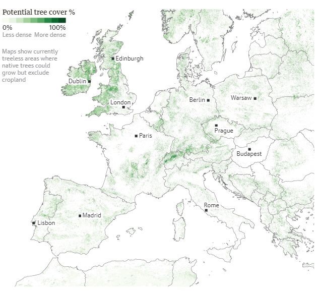 Păduri noi ar putea fi plantate în Marea Britanie, Irlanda și Europa Centrală | Foto: theguardian.com