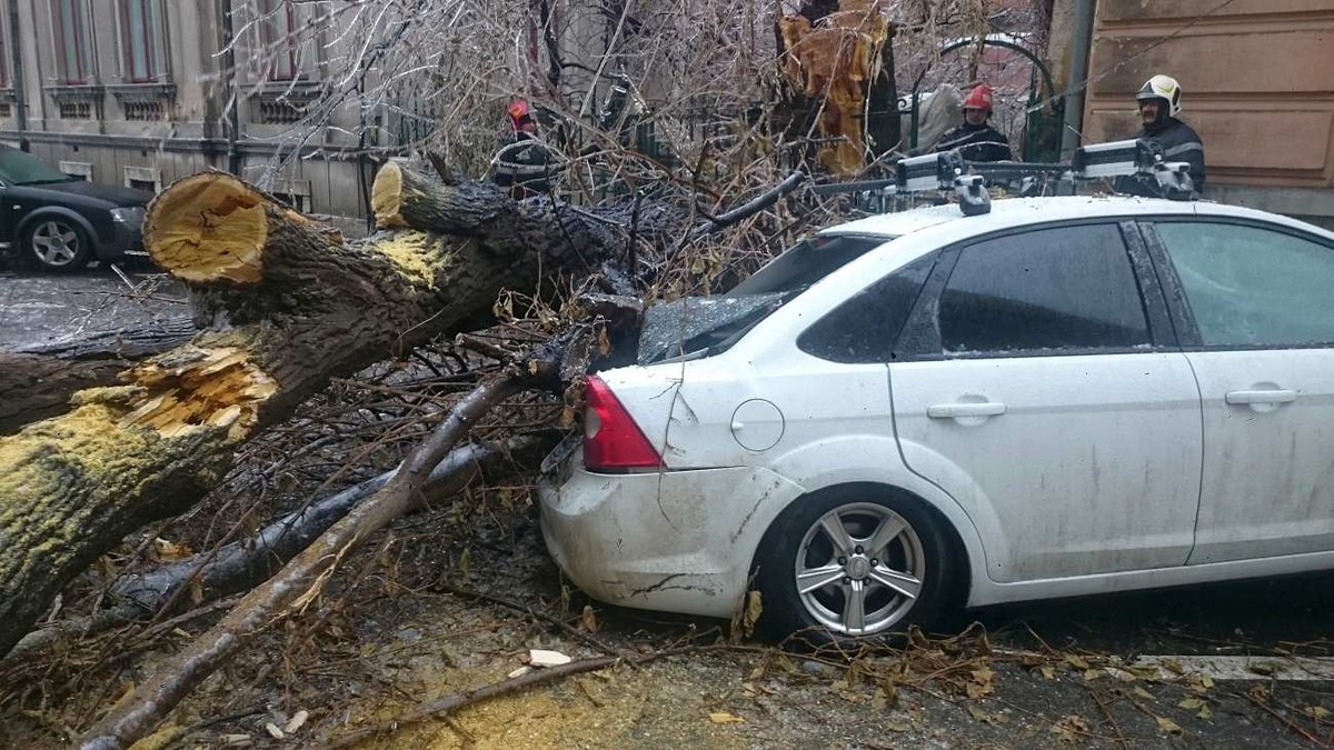 Mașină lovită de un copac după o furtună în București