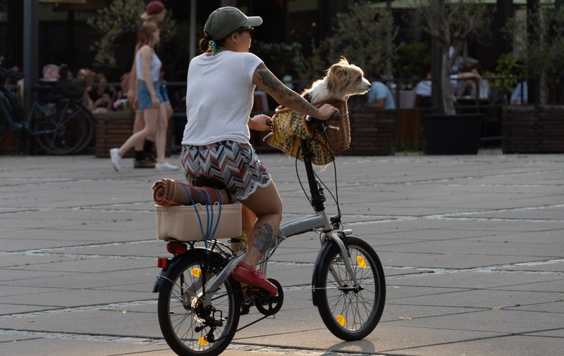 Amendă primită degeaba de o femeie acuzată că a vorbit la telefon pe bicicletă: „Merg pe jos la muncă, nici nu mai am bicicletă”