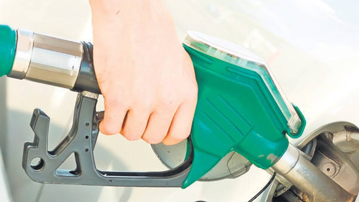 Arhiva foto