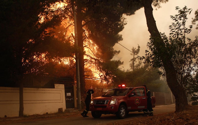 Incendiul care a făcut ravagii lângă Atena, provocat de un fermier care afuma stupii