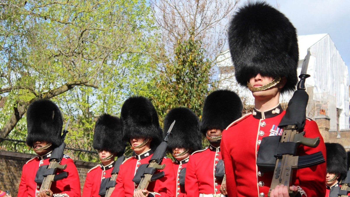 Un grup de parlamentari britanici cere guvernului să renunțe la utilizarea pieilor de urs pentru pălăriile celebre ale Gărzii Regale. Sursă foto Shutterstock