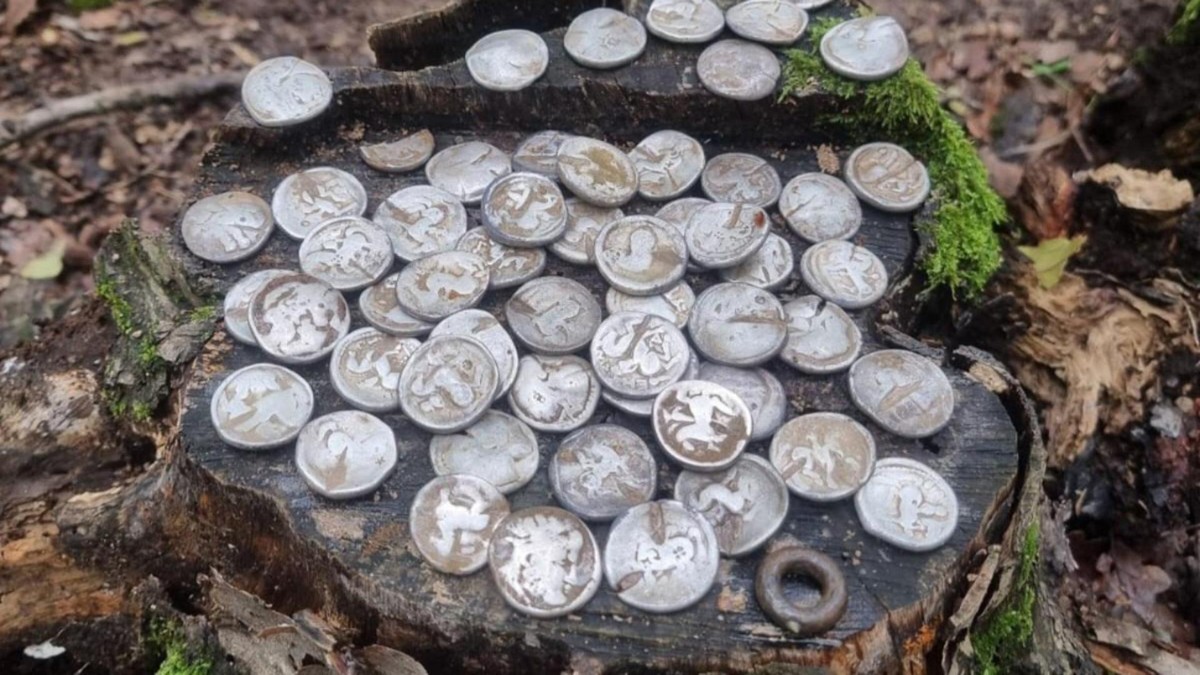 monede de argint descoperite în padure