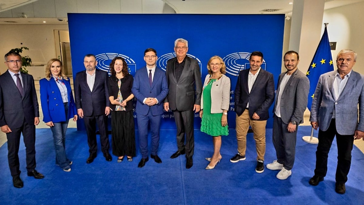 Delegatia PSD din Parlamentul European FOTO Facebook Victor Negrescu
