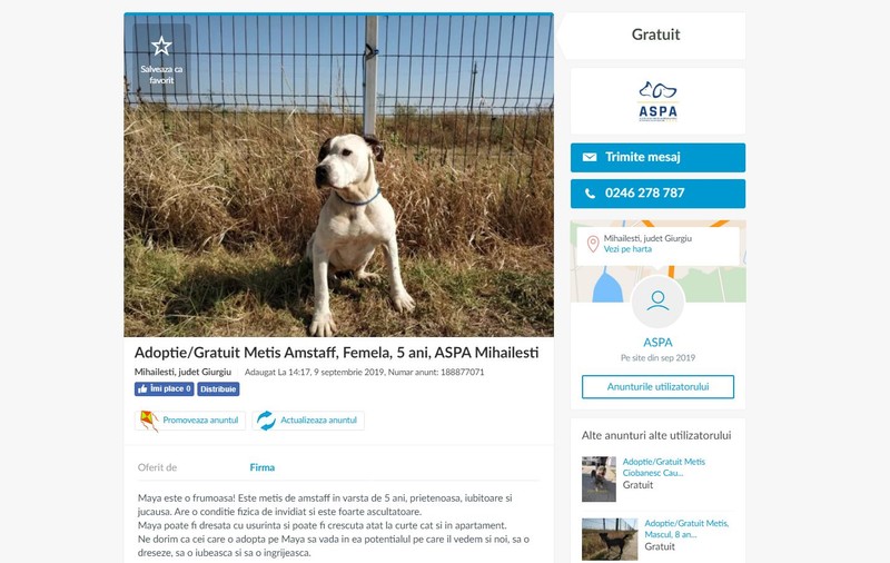 Cățeii din centrele ASPA, dați spre adopție pe OLX