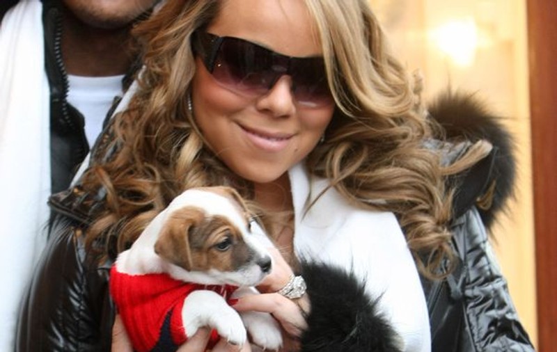 Mariah Carey şi-a dus căţeii la psiholog