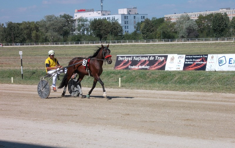Murgul Baikal a câștigat Derby-ul de trap de la Ploiești/ FOTO