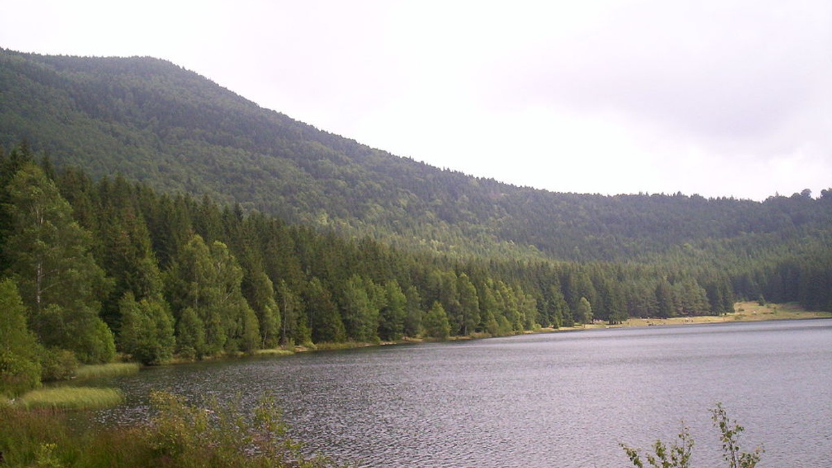 Arhiva foto