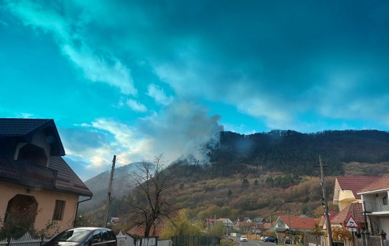 Pompierii băcăuani luptă de peste 12 ore să stingă incendiul izbucnit într-o pădure. Au ars 12 hectare