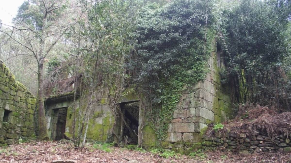 Satul A Barca, din Cortegada, Galicia, Spania: una dintre casele vechi din piatră apare abandonată și parțial acoperită de mușchi și iederă, într-o zonă împădurită. Clădirea este degradată, cu deschideri fără ferestre și vegetație crescută peste ziduri și în jurul ei. 