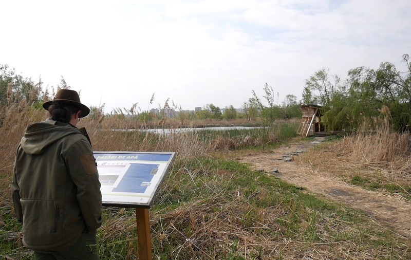 VIDEO | Văcărești, drumul de la groapă de gunoi la parc natural. Florin Stoican, geologul care a creat “delta dintre blocuri”, vrea să o transforme într-o ambasadă a biodiversității