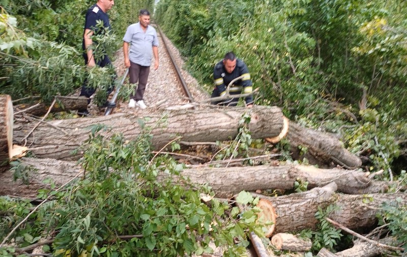 Copaci și stâlpi puși la pământ de vijelie, în Prahova. Lângă Ploiești, un arbore a blocat traficul feroviar