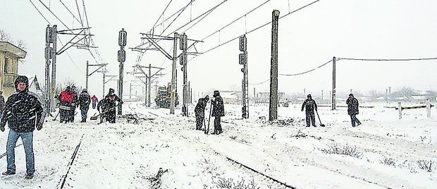 Arhiva foto