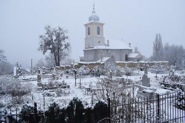 Biserica din satul Deleni, monument istoric