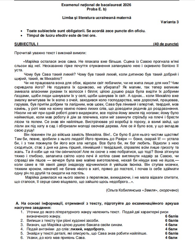Ce subiecte au avut de rezolvat elevii la proba la Limba maternă la BAC 2026, sesiunea de toamnă