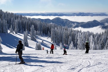 Arhiva foto