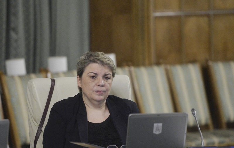 Sevil Shhaideh, eliberată din funcție de Ludovic Orban. Ce post a deținut fina lui Liviu Dragnea