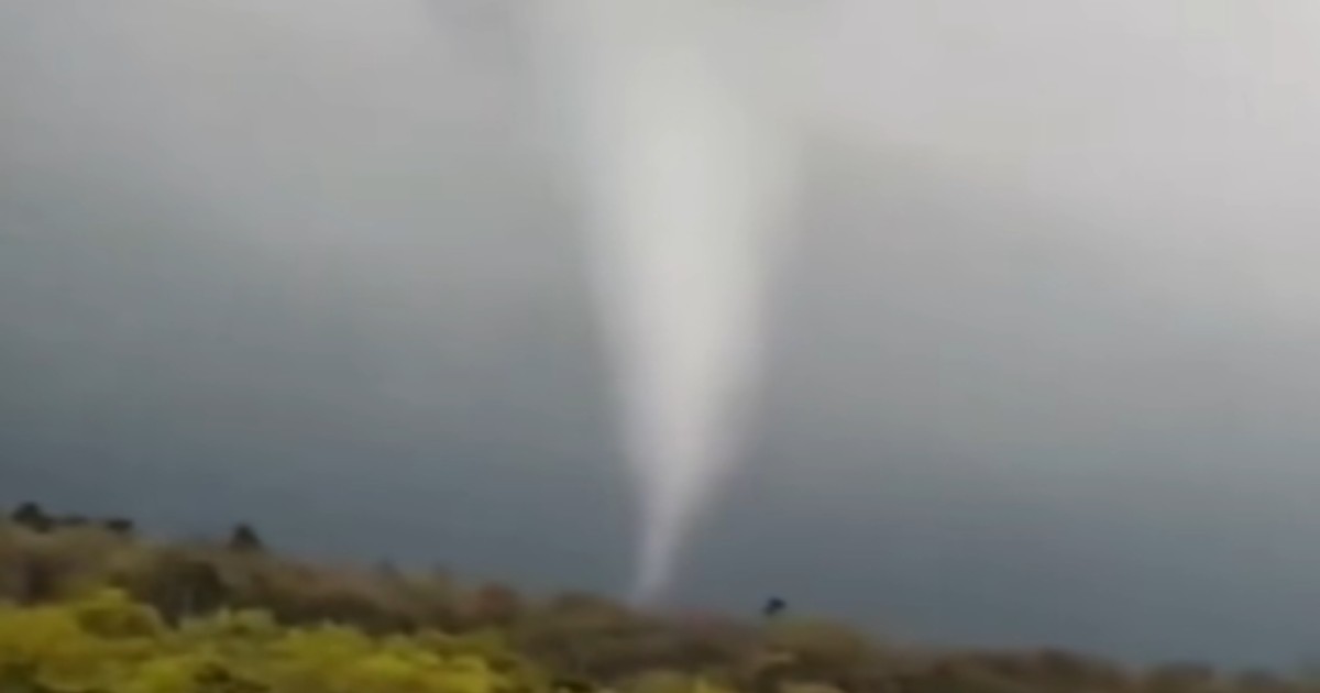 Imaginea surprinde o tornadă formată în timpul unei furtuni, vizibilă ca un vortex alb care coboară din nori spre sol. În prim-plan se observă o zonă împădurită, peste care fenomenul pare să se manifeste.