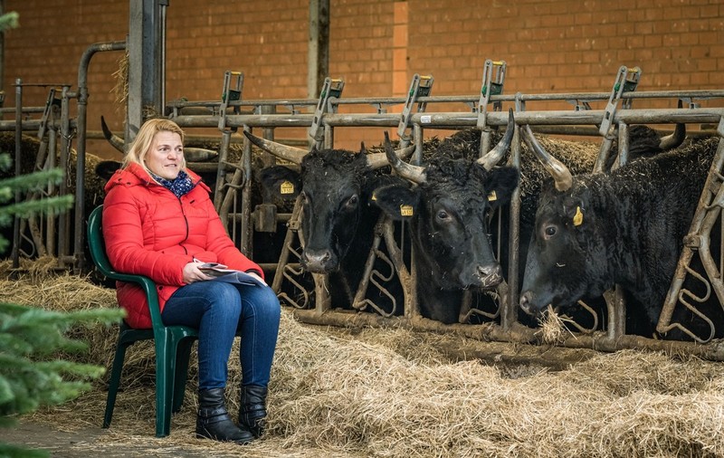 Vaccinare printre văcuțe. Într-un sat din Germania, imunizarea anti-COVID se face la fermă