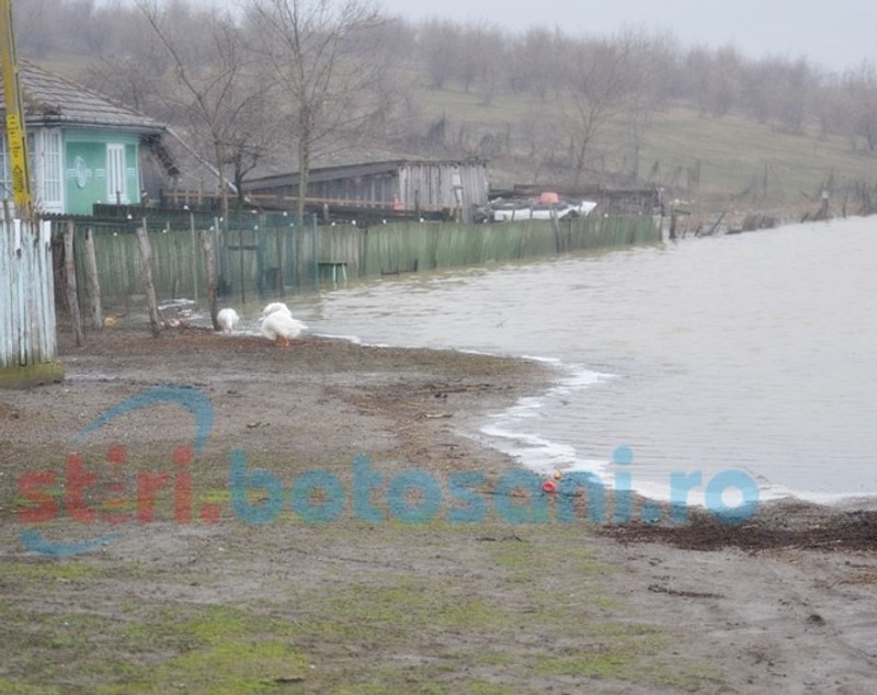 Inundații în județul Botoșani. Zeci de bătrâni sunt izolați din cauza apelor
