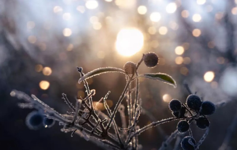 Cum va fi vremea în România, în următoarele două săptămâni. Meteorologii au emis prognoza meteo