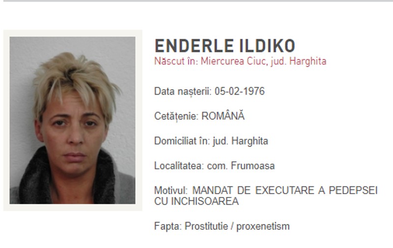 Ildiko Enderle, cea mai căutată femeie proxenet din Europa, a fost repatriată în România. Ea a primit șase ani de închisoare