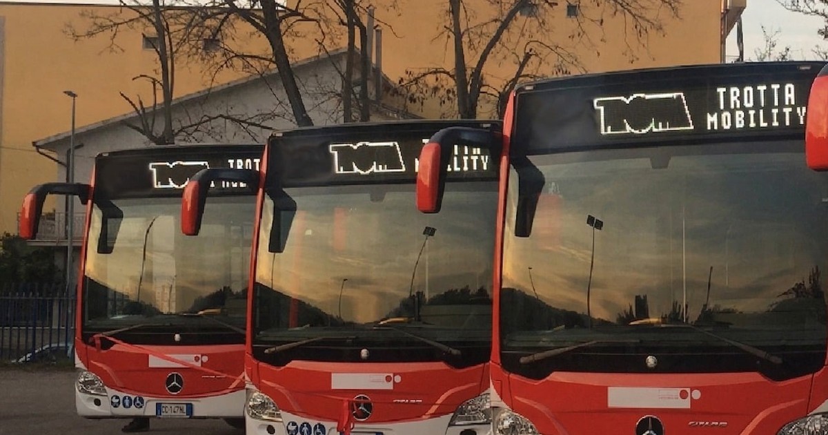 Trei autobuze Trotta bus din Italia