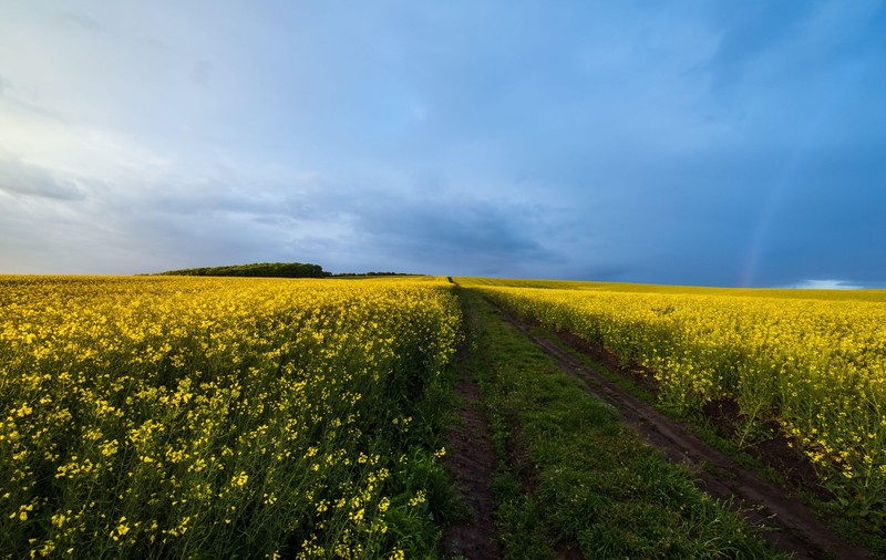 Cum va fi vremea mâine. Prognoza meteo pentru vineri, 18 aprilie 2025