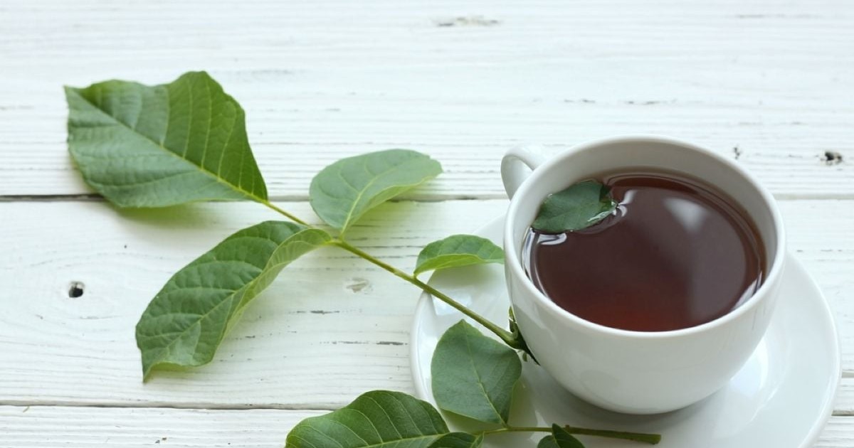 La ce ajută ceaiul din frunze de nuc și cum se prepară ( Foto Shutterstock)