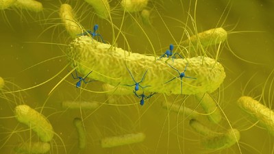 terapia cu bacteriofagi