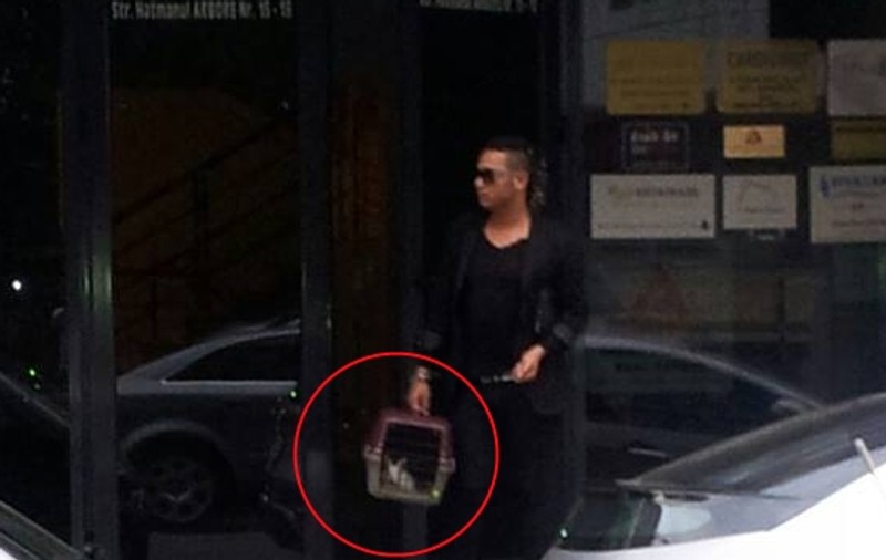 O nouă modă în showbiz! Stilistul Adrian Pescariu, surprins la doctor CU UN IEPURAŞ DUPĂ EL | FOTO 