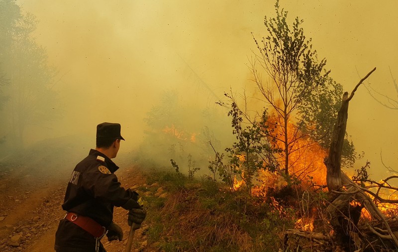 UPDATE / Incendiul de la fondul forestier dintre două văi din Azuga a fost lichidat