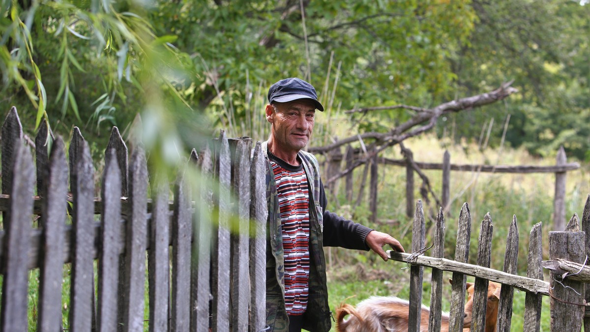Arhiva foto