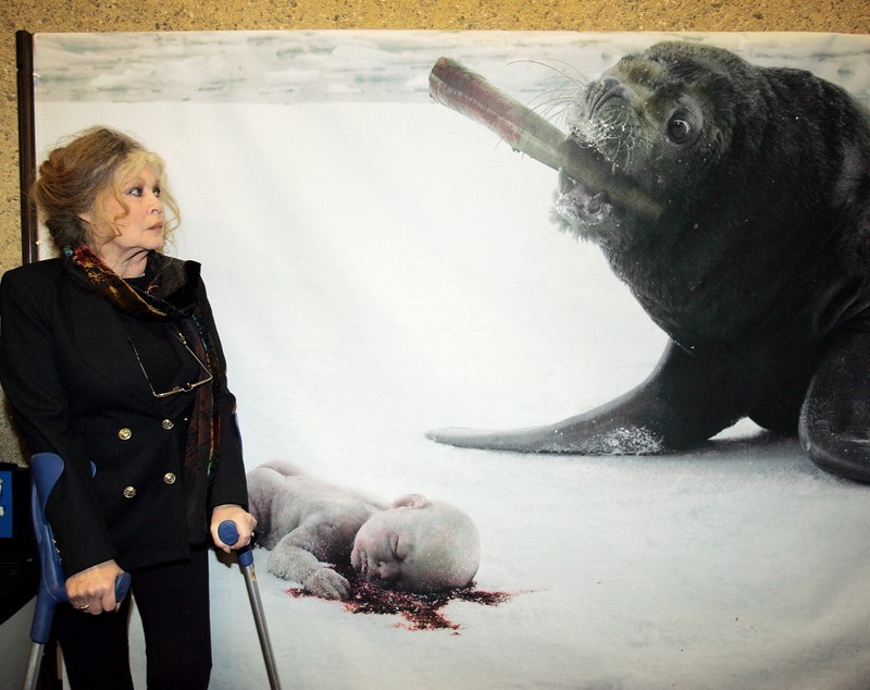 Brigitte Bardot dezminte știrea falsă potrivit căreia ar fi murit: „Nu-mi iau rămas bun”. Care e starea ei de sănătate, după ce a fost internată în spital