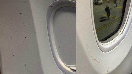 Zbor Ryanair întârziat aproape 4 ore din cauza unui roi de țânțari în cabină Foto: Colaj X/ MilanoToday
