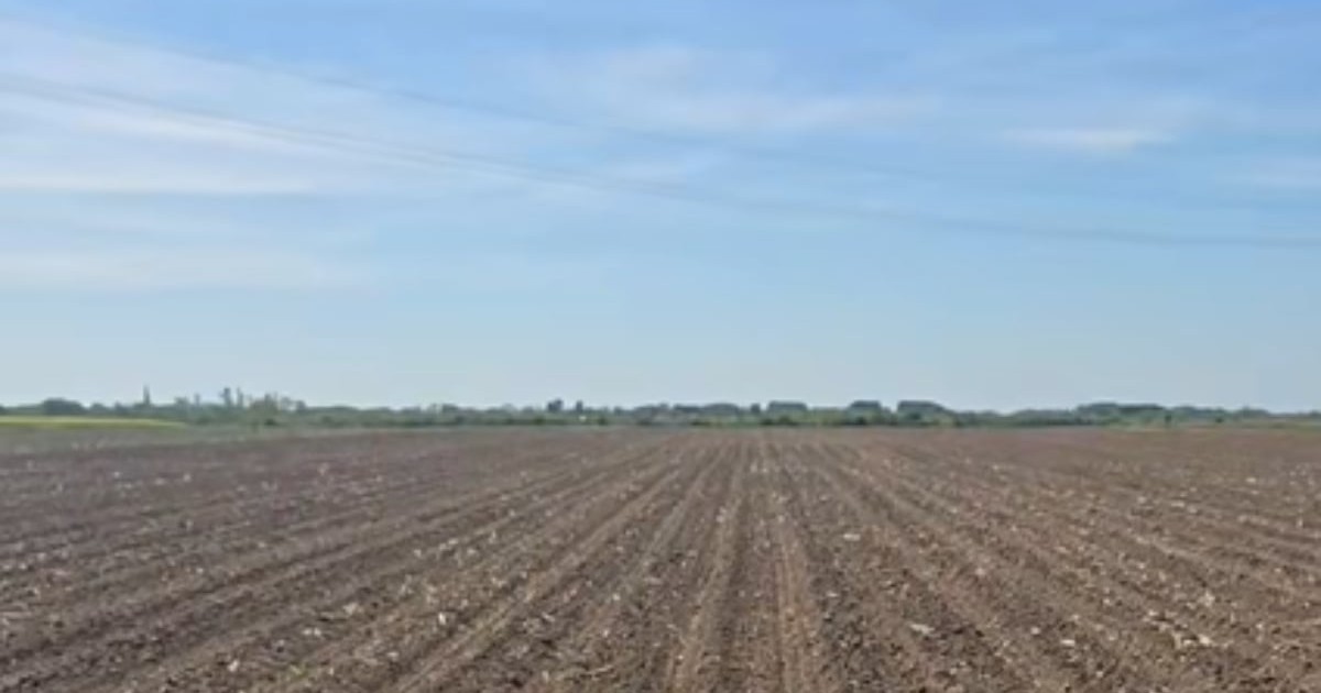 Imaginea surprinde un câmp agricol întins, proaspăt lucrat, cu rânduri paralele de sol pregătit pentru cultură. Pe fundal se observă linia orizontului cu vegetație și câteva construcții îndepărtate, sub un cer senin.